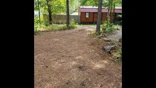 Fern Gully Cabin | Cabins in Conway