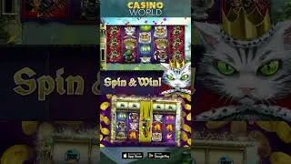 Casino World - Royal Meowjesty Slot! Jester Cat Bonus Wilds! #slot #casino #jackpot