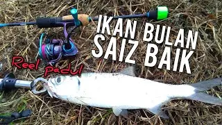 Casting Ikan Bulan | Gasak Ikan Bulan Guna Popper Hengja 4cm | UltraLight Fishing | Vlog57
