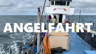 MS Albatros / Hirtshals