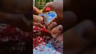 Saffron Splendor: A Feast for the Senses with #KesarHarvesters
