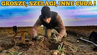 SUPER STRZAŁ! TO SIĘ RZADKO ZDARZA!