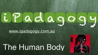 iPadagogy - App Review - The Human Body Tutorial