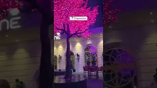 Beautiful places at night in indore 😍| Indore famous #shortsfeed #ytshorts #viral #trendingshorts