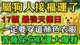 生肖狗必看！明天2026年1月17號，農曆十一月廿九是「最強天德黃道吉日」，一定要記得穿這個顏色的衣服，再倒楣也能逆天改命！#佛靈禪師#屬相運勢#生肖#家運#生肖運勢的那些事#先知#風水變化#提升運勢