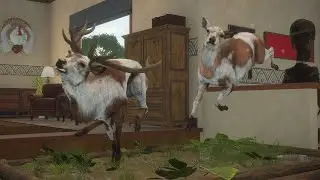 Another Fine Addition to my Collection || theHunter: Call of the Wild