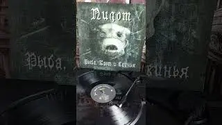 Обзор на виниловое издания уже на канале #пилот #винил #vinyl #shorts #music #обзор