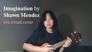 Imagination by Shawn Mendez (eve o'reall cover)