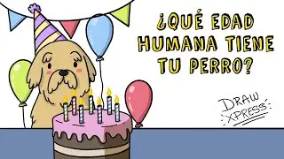 &iquest;QU&Eacute; EDAD HUMANA TIENE TU PERRO? | Draw My Life