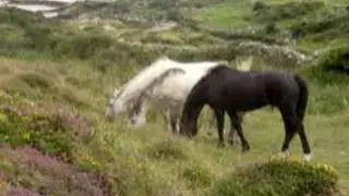 May it be - Ryan & Rachel O'Donnell