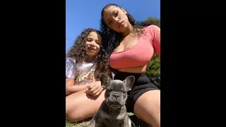 Meet my French Bulldog Puppy