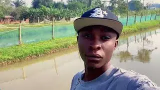 Fish farming business 