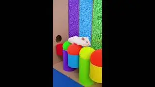 Cute animal videos to cure Depression #fyp #dog #pet #foryou #animal #cats #pets#puppy#cute#doglover