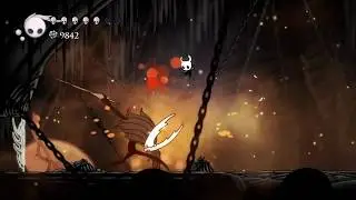 The Hollow Knight