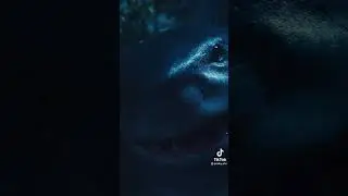 Tubar&atilde;o rei - Esquadr&atilde;o suicida 2