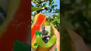 imported guava fruit