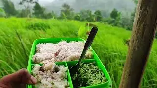 Bamja bri #farmer #greenplants #farmarlife #rice 