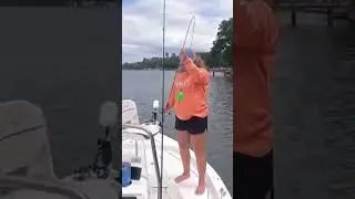 You can almost ALWAYS find fish on this CERTAIN STRUCTURE!