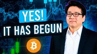 &laquo;Следующий ОГРОМНЫЙ шаг для BTC и ETH!&raquo; | Том Ли, прогноз цен на криптовалюты