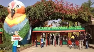 Gaziantep Hayvanat Bahçesi Gezisi -1