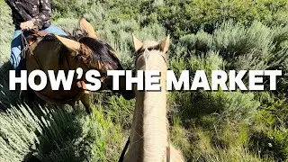 How&rsquo;s the Market: Sun Valley Real Estate Market Update