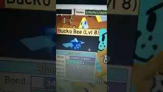 gifted bucko bee's face gone💯