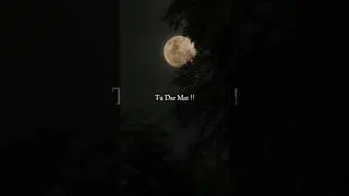 Tu Theek Raha Kar By @TarunTD ( Out Now )  🙏 #lofi #hindilofi #hiphop #rap #freestyle