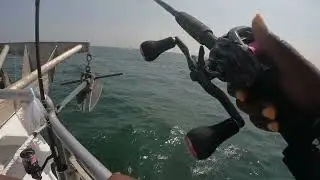 Fluking in 5 Footers Post Wisdom Tooth Extraction | Jamaica 2