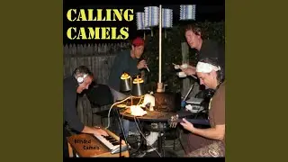 Calling Camels