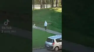 Сила привычки. Force of habit.
