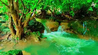 NO AI || Relaxing Music For Stress Relief, Anxiety and Depressive States🌲Heal Mind, Body and Soul 39