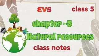 || class 5 EVS|| chapter -5 Natural resources|| class notes||#class5 #class5evs 