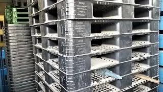 Plastic pallets in Shershah Quality Godam Godown 23 May 2022 1438
