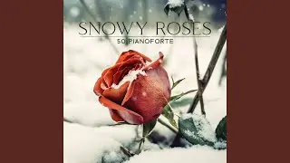 Last Winter Memories