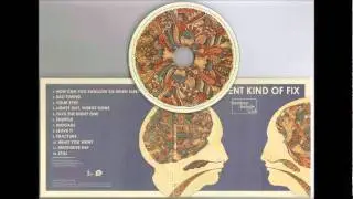 Bombay Bicycle Club - What You Want