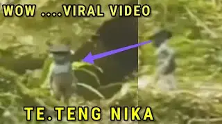 Te.teng nikana buringo ll viral video.