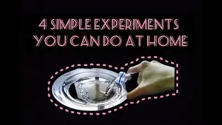 4 simple experiments you can do at home.