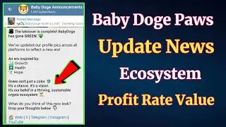 Baby Doge Paws News | Baby Doge Airdrop Update | Baby Doge Paws