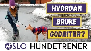 Feil bruk av godbiter er bortkastet tid