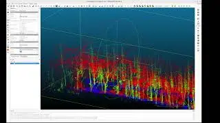 Semantic Segmentation of Forestry Point Clouds