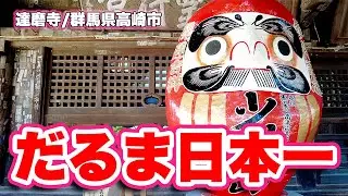 日本一のだるま生産地！高崎の達磨寺を巡る！和尚が住民を救うため張り子だるまの作り方を教えたことに始まるダルマの歴史を尋ねる！【旅行VLOG、レビュー】年間170万個！全国生産の80%を生産する高崎市