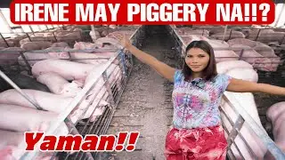 WOW SI KUMARE MONG IRENE MAY PIGGERY NA!