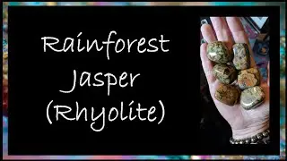 The Innate Energies of Rainforest Jasper