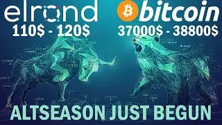 Elrond EGLD Coin Technical Analysis Price Prediction, Bitcoin live chart, Elliott Wave, Altseason