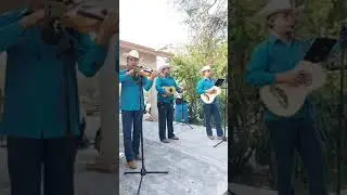 PURAS PARA LLORAR  CON  TRIO JILGUEROS DE GONZALES  🤗🤗🧚‍♀️💃💃💃EN  VIBO