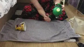How to Trim Hamster Nails: the Mesh Method