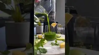 One Superfood That Replaces Them All!