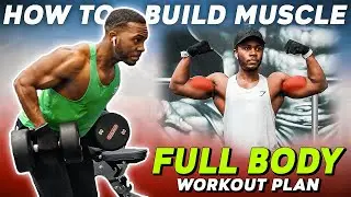 How to Start the Gym...  (Beginner Full Body Workout Routine)