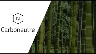 Carboneutre x BambooPro : Co2 capture