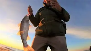 Surf Fishing early-December: Striped Bass in the Ocean Surf!!